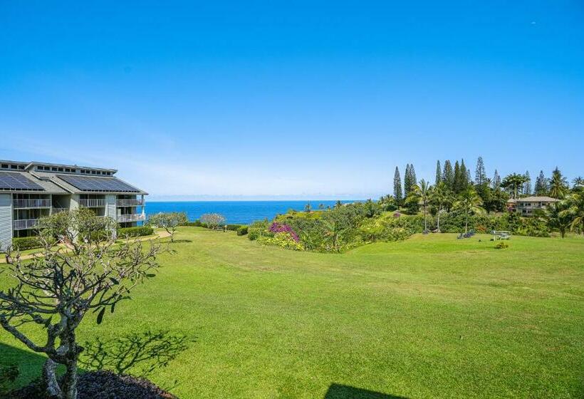 شقة غرفة واحدة, Cliffs Escape