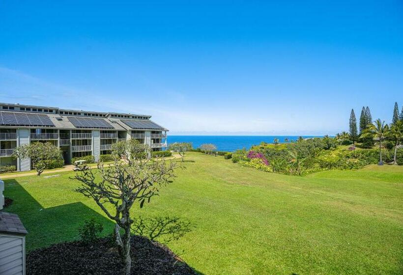 شقة غرفة واحدة, Cliffs Escape