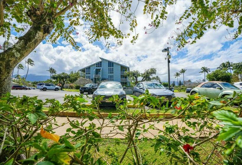 شقة غرفة واحدة, Cliffs Escape