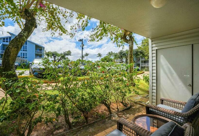 شقة غرفة واحدة, Cliffs Escape