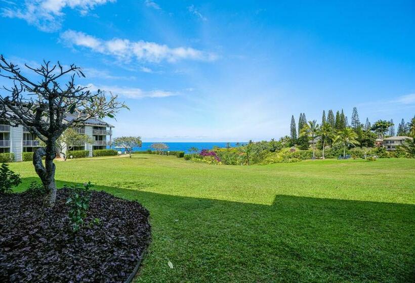 شقة غرفة واحدة, Cliffs Escape