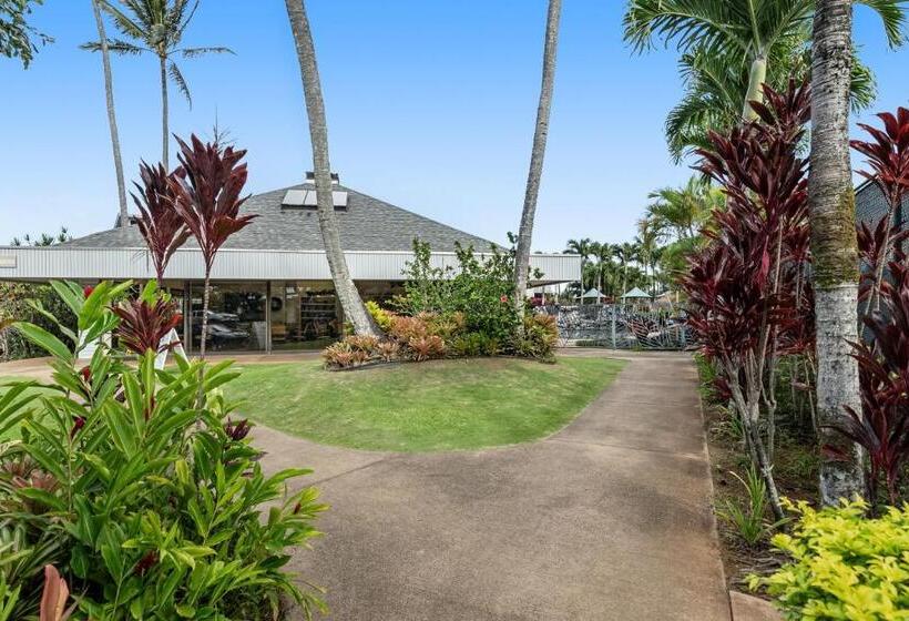 شقة غرفة واحدة, Cliffs Escape