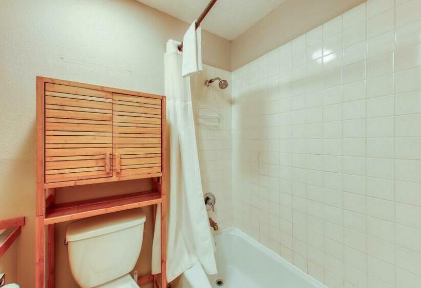 آپارتمان 3 خوابه, Grand Hollow Townhome