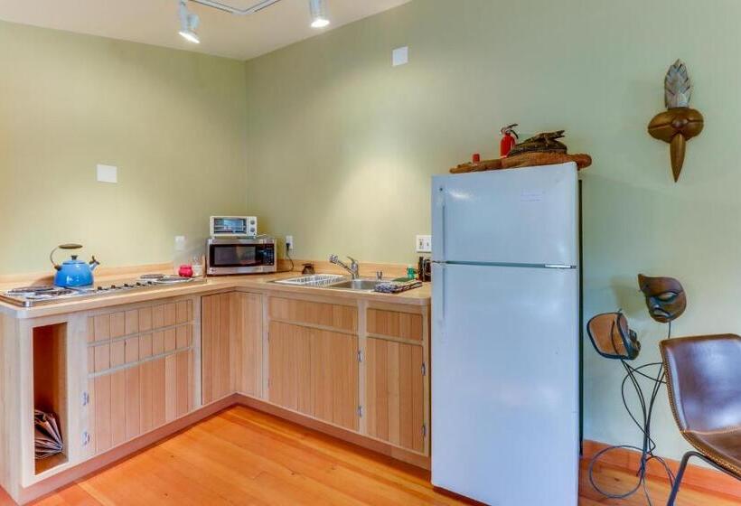 إستوديو قياسى, Island Artist Studio