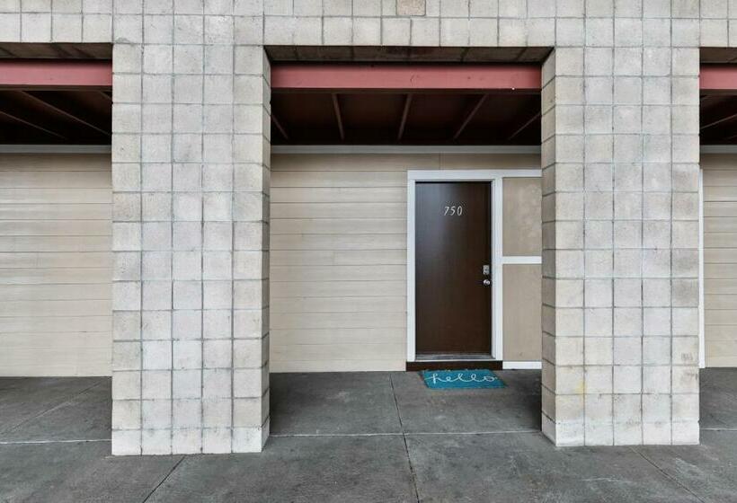 آپارتمان 1 خوابه, Nash Vegas Oasis