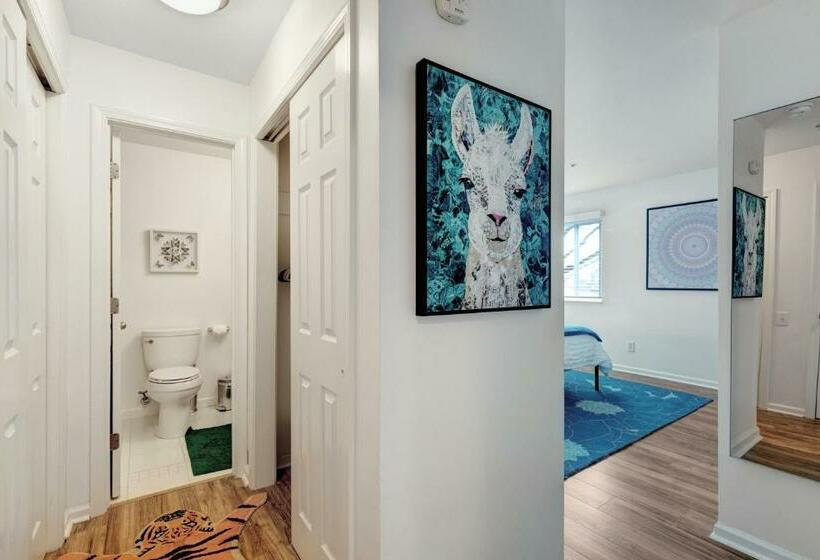 آپارتمان 1 خوابه, Nash Vegas Oasis