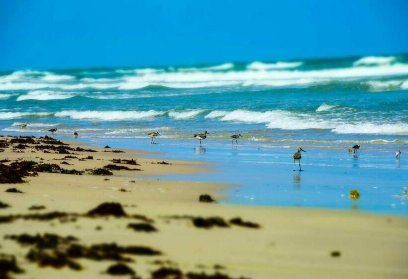 آپارتمان 2 خوابه, Fortuna Sea Brisas Condominiums #4