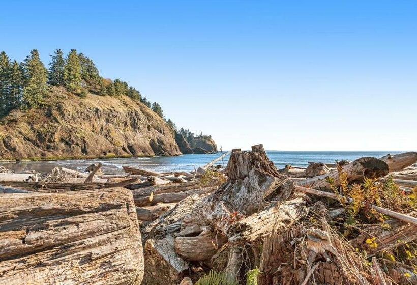 标准工作室, Cute As A Clam Cottages