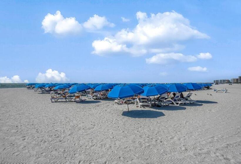 شقة غرفة واحدة, Marco Beach Ocean Resort 807