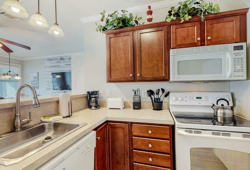 דירת שני חדרים, The View  Unit 317