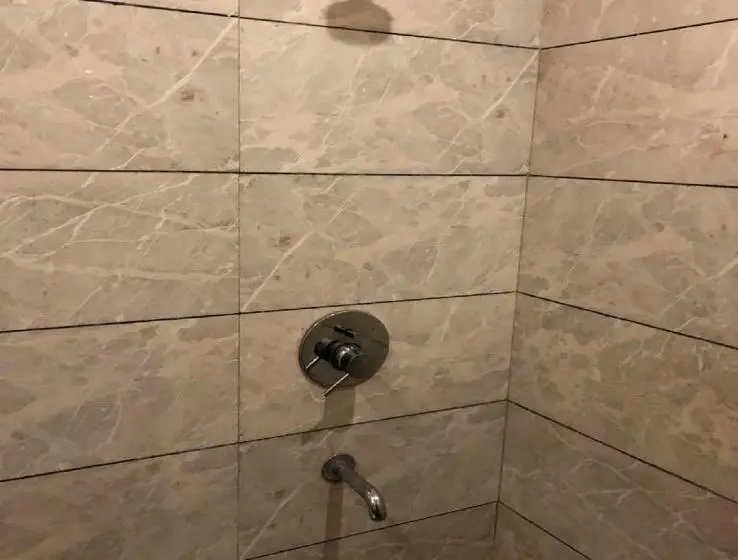 デラックスルーム, Raj Palace, Amritsar