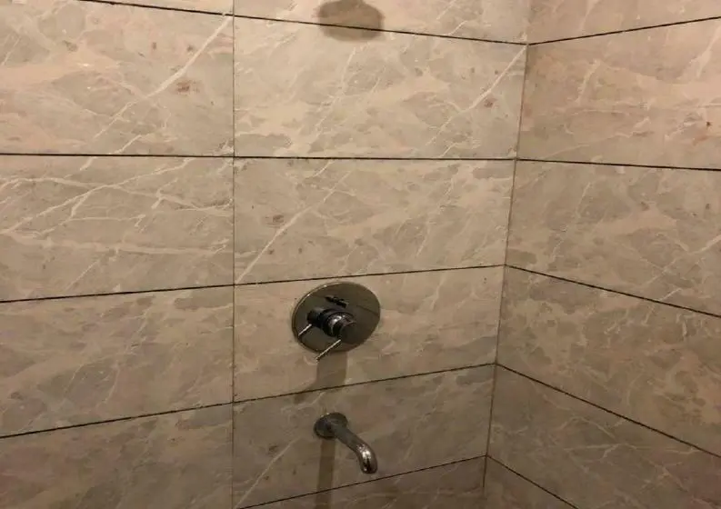 デラックスルーム, Raj Palace, Amritsar
