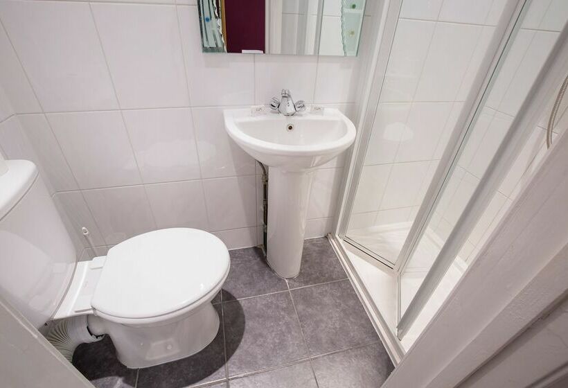 スタンダードトリプルルーム, Citybest