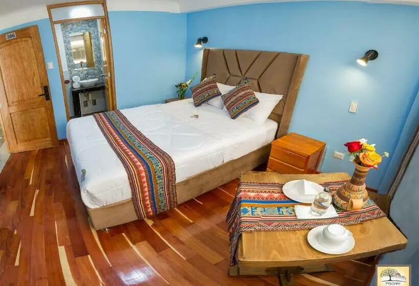 Quarto standard, Pisonay