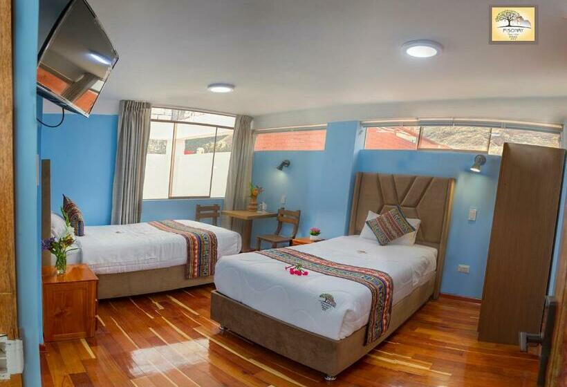 חדר סטנדרט, Pisonay