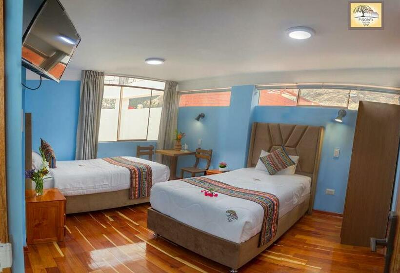 חדר סטנדרט, Pisonay