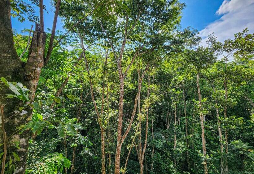 חדר משפחתי דלוקס, Capri Doradal