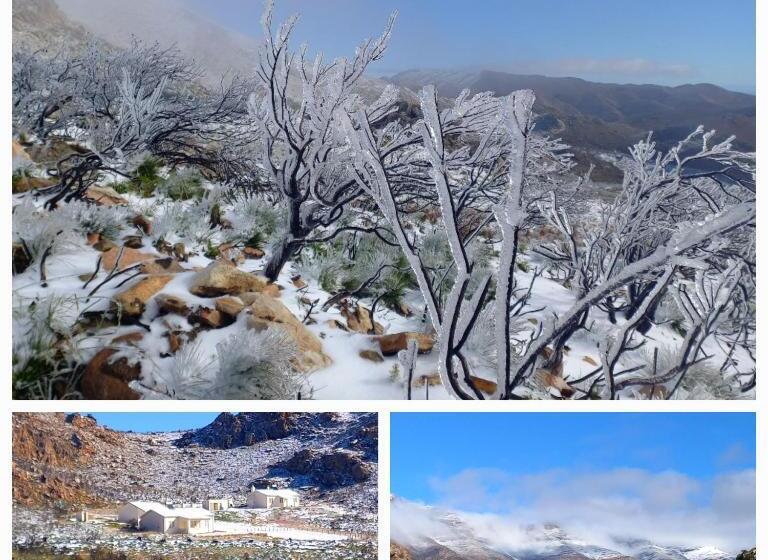 اتاق استاندارد, Aloe Valley Retreat