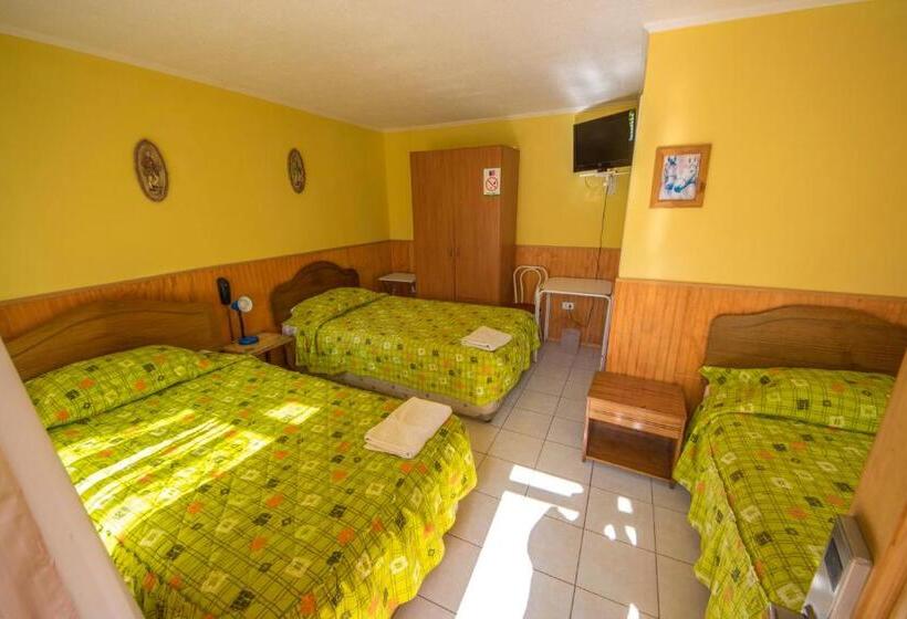 标准三人间, Montecarlo