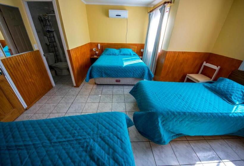 四人标准间, Montecarlo