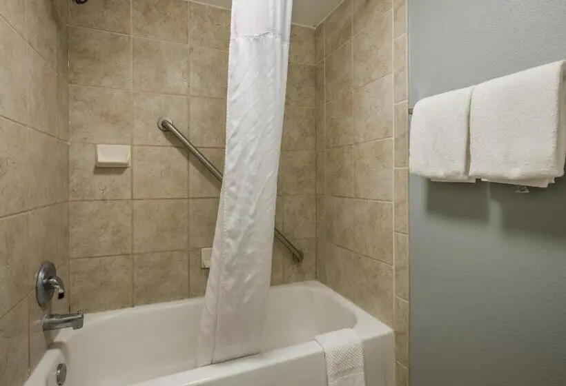 اتاق استاندارد با تخت دو نفره بزرگ برای معلولان, Mainstay Suites Savannah Midtown