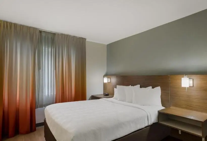 اتاق استاندارد با تخت دو نفره بزرگ, Mainstay Suites Savannah Midtown