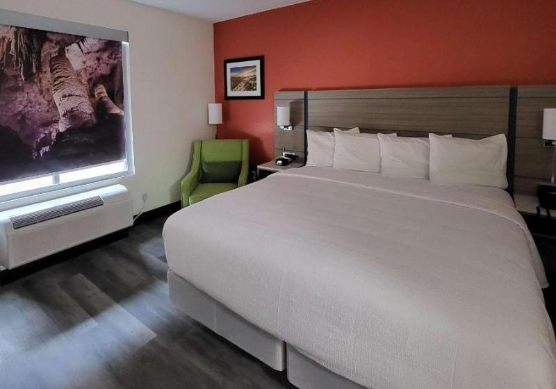 غرفة قياسية سرير كينج لذوى الإحتياجات الخاصة, Best Western Plus Executive Residency Carlsbad