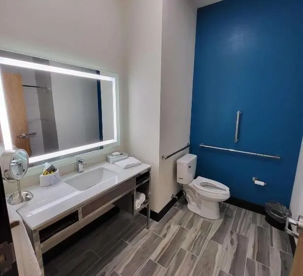身障者適用キングサイズベッドルーム, Best Western Plus Executive Residency Carlsbad