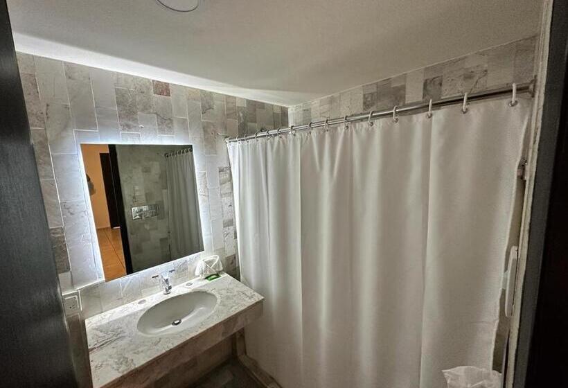 스탠다드 룸, Bedd Express Querétaro