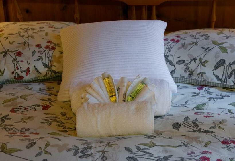 غرفة إقتصادية, Corona