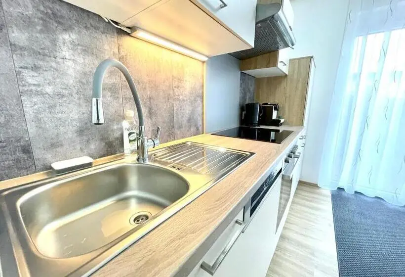 Standard-studio, Pension Maier
