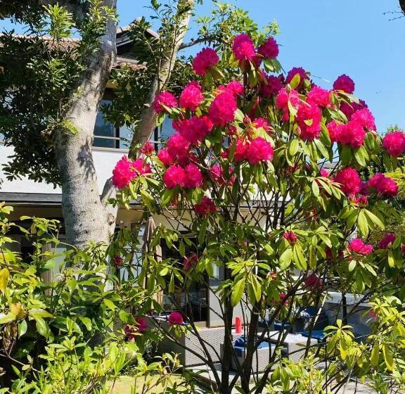 Bungalow Familiar, 地中海の家