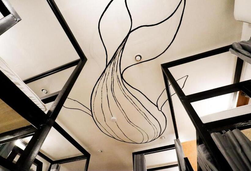 تختخواب در اتاق مشترک, Ocean Breeze Hostel By Daily Sweet