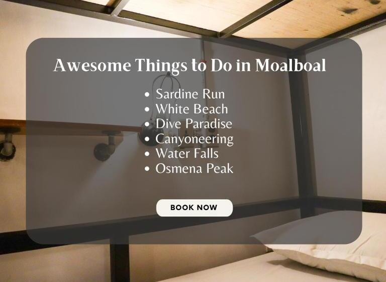 تختخواب در اتاق مشترک, Ocean Breeze Hostel By Daily Sweet