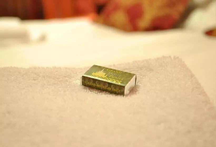 Standard-huone, Grand Hotel Praha