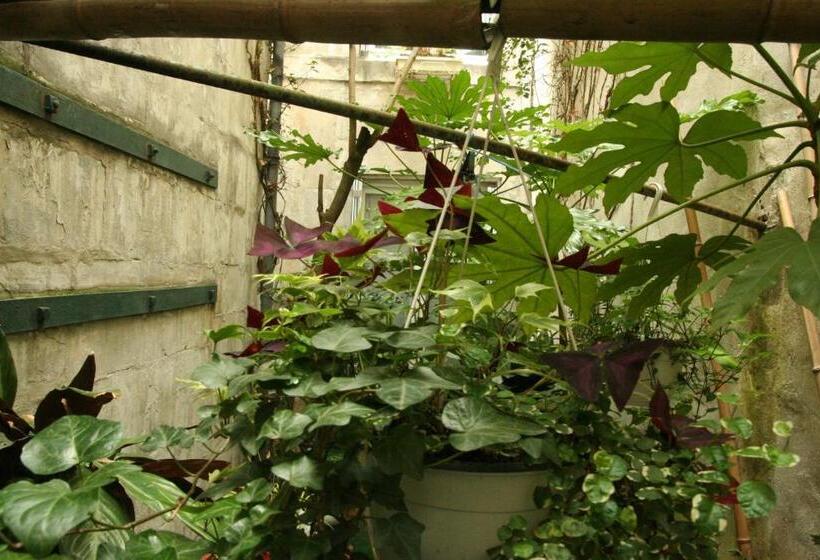 标准间内部标间, La Marine, Vieux Port