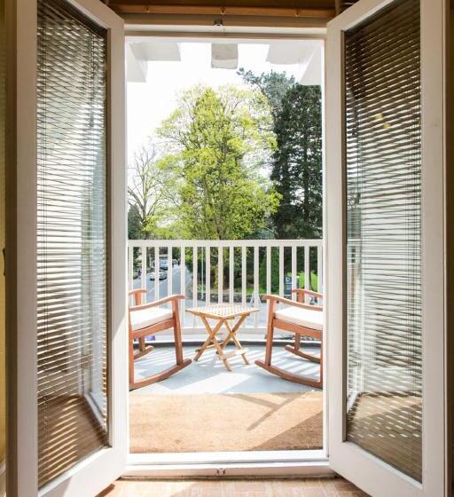 غرفة سوبيريور, Moss Grove Organic