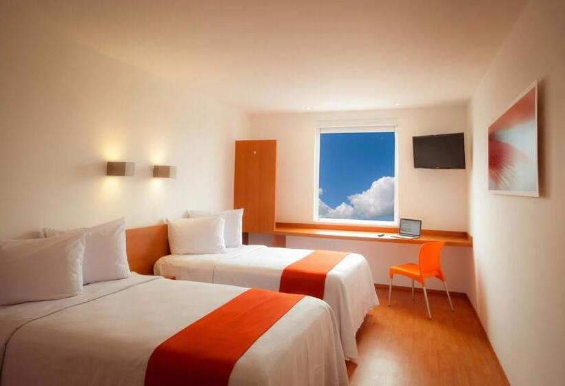 수피리어 룸, One Monclova