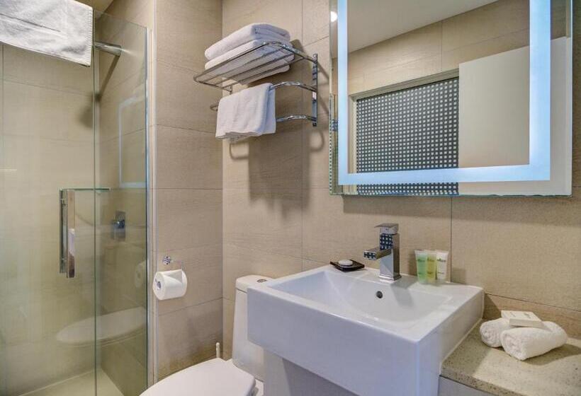 غرفة قياسية سرير كينج, Vr Queen Street Hotel & Suites