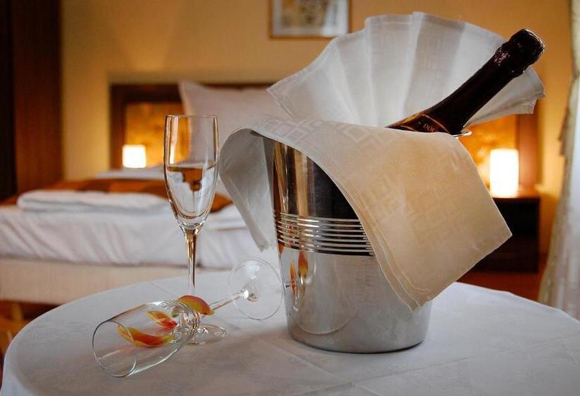 اتاق استاندارد, Pension Gallery