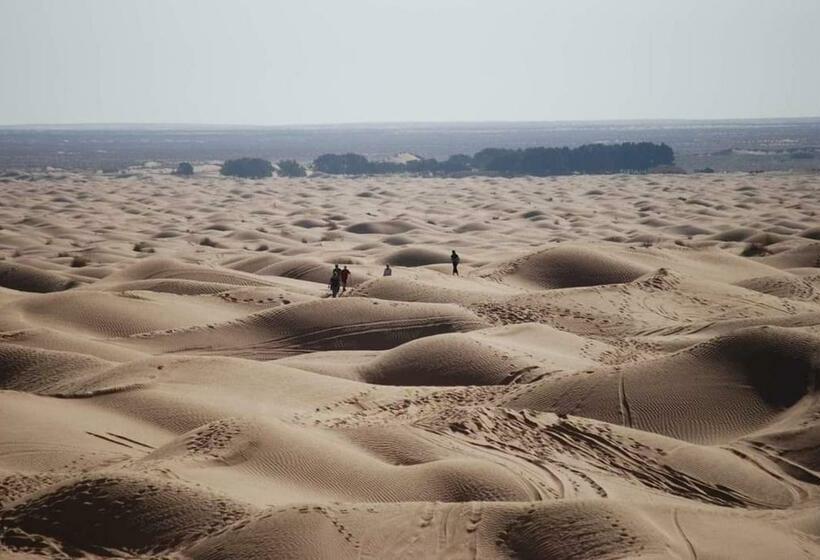 اتاق لوکس, Pansy