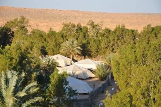 اتاق لوکس, Pansy