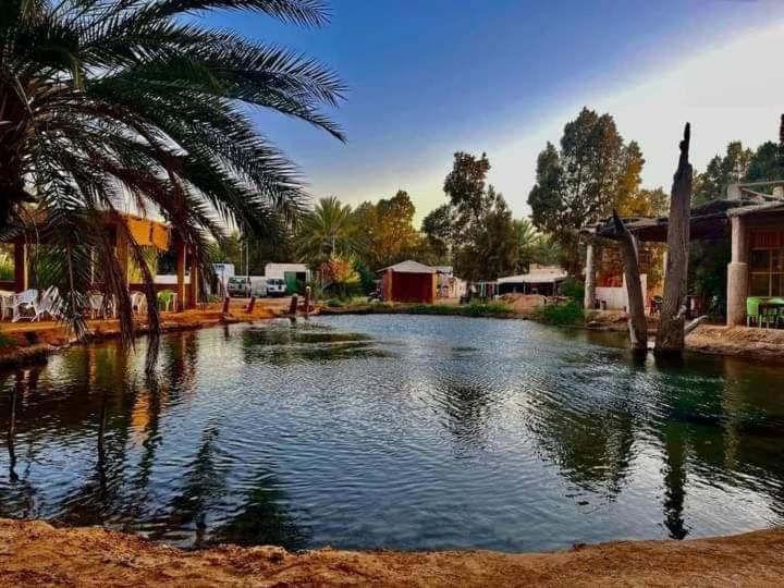 اتاق لوکس, Pansy