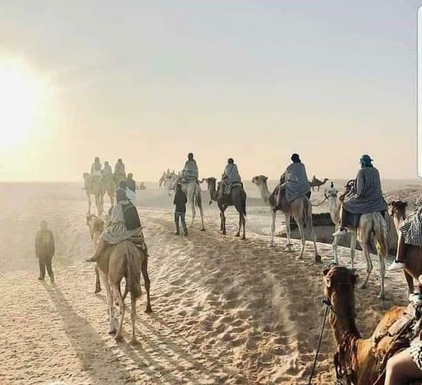 اتاق لوکس, Pansy