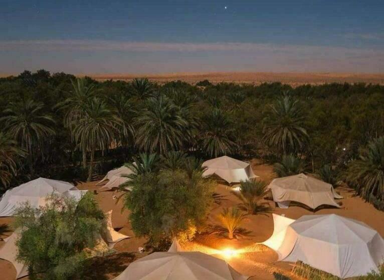 اتاق لوکس, Pansy