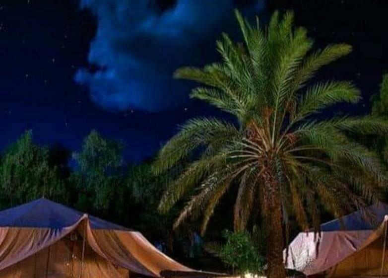 اتاق استاندارد چهار تخته, Pansy