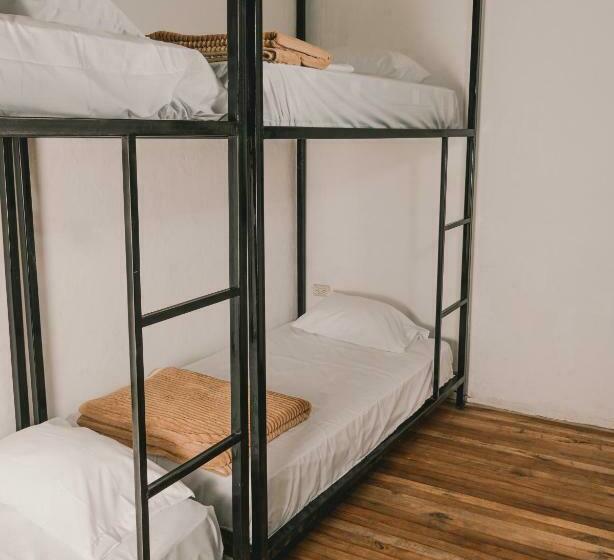 Кровать в Общей Комнате, Wild Monkey Hostel
