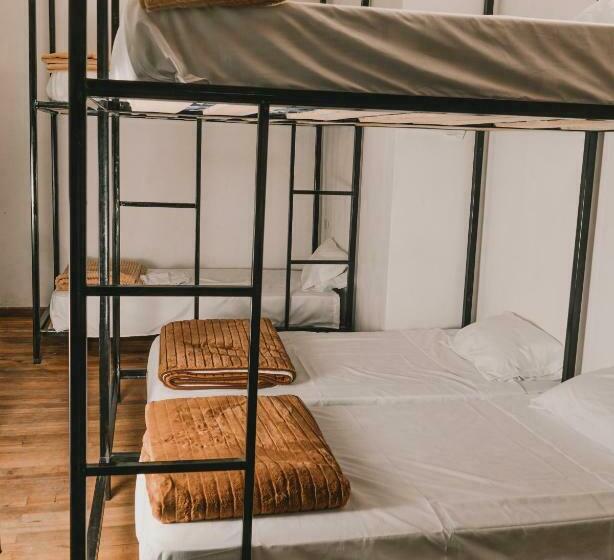 سرير فى غرفة مشتركه, Wild Monkey Hostel