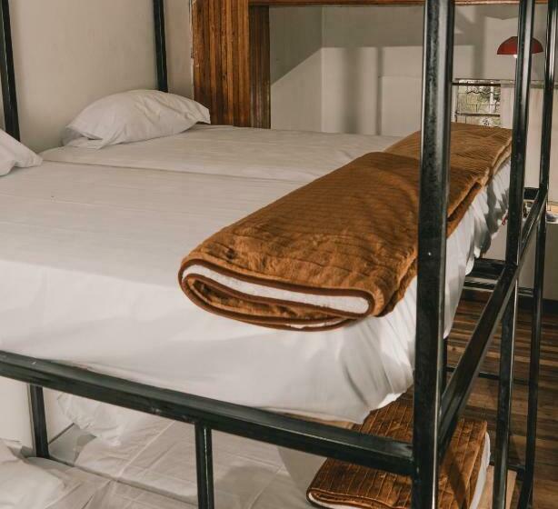 سرير فى غرفة مشتركه, Wild Monkey Hostel