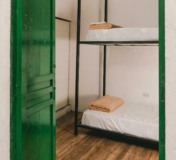 Кровать в Общей Комнате, Wild Monkey Hostel